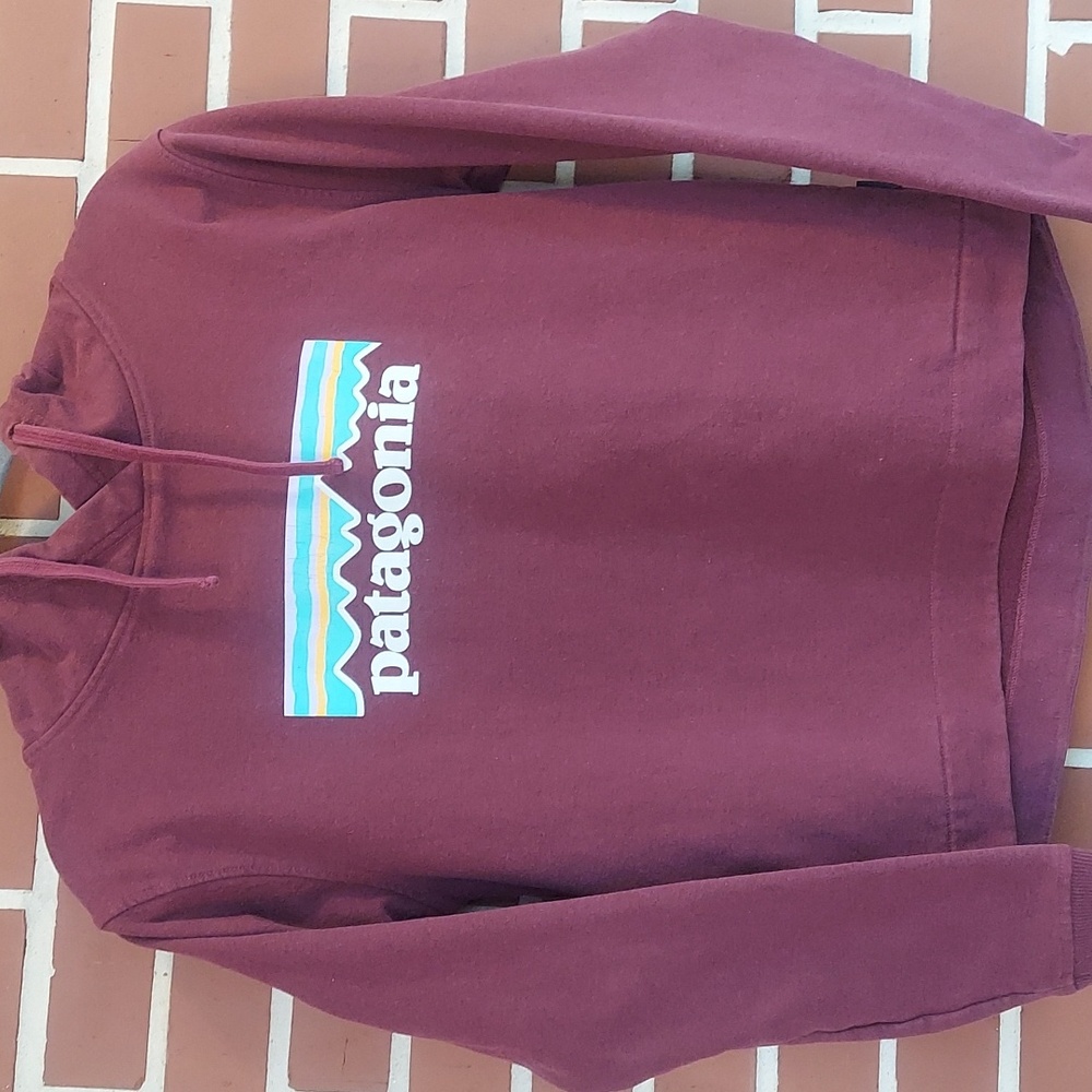 Women Patagonia Hoodie Recycled Sweatshirt Worn Wear Sz XS Purple/Dark Burgundy